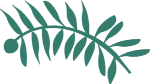 hoja